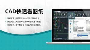 漫自由：解析与思考这门艺术的哲学与实践