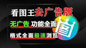 2345加速浏览器官方网站深度解析